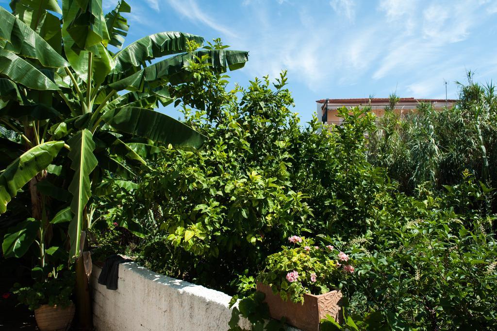 Studios Margarita Petalídhion المظهر الخارجي الصورة