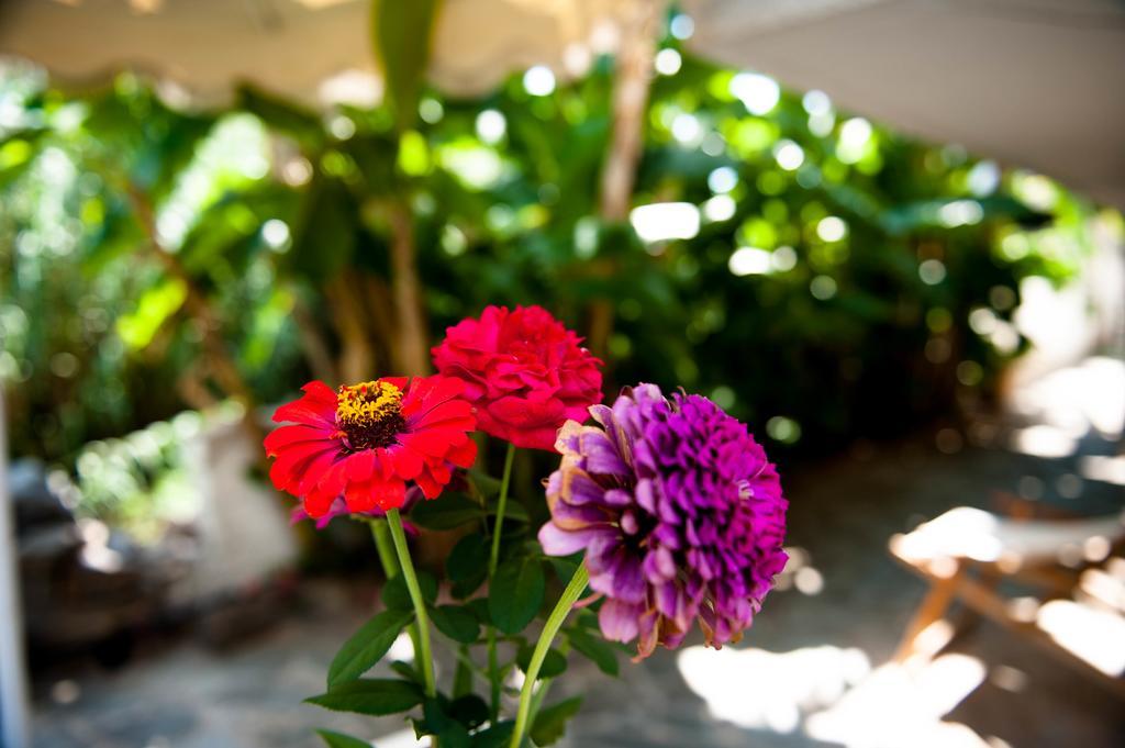 Studios Margarita Petalídhion المظهر الخارجي الصورة